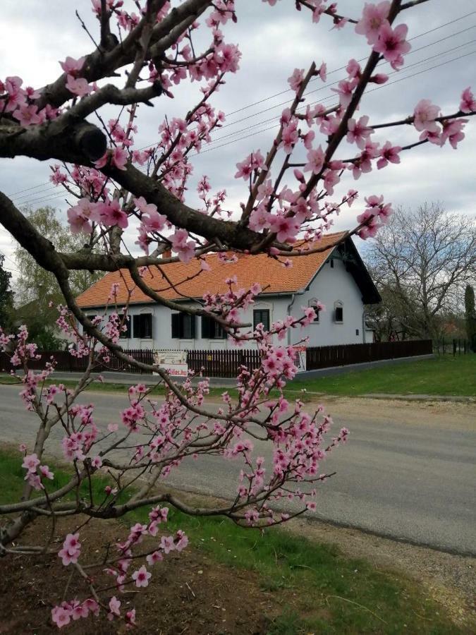 Szentgyorgyvolgy Szentgyoergyvoelgy Vendeghaz Orseg酒店 外观 照片